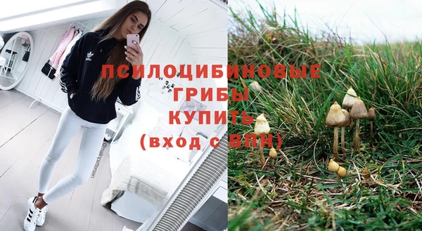 PSILOCYBIN Алексин