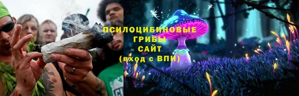 PSILOCYBIN Алексин