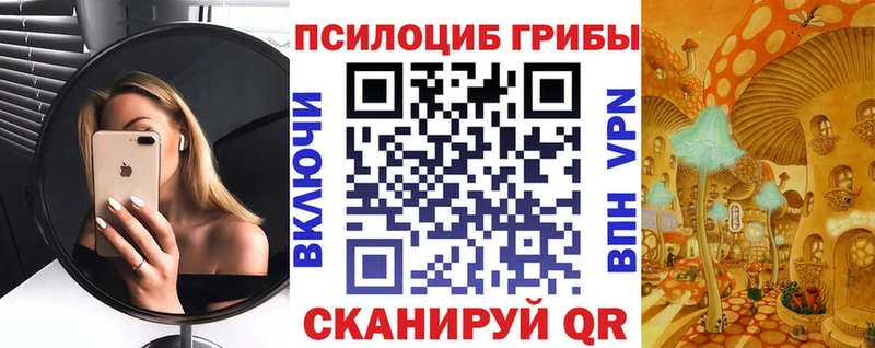 Псилоцибиновые грибы Cubensis  Тобольск 