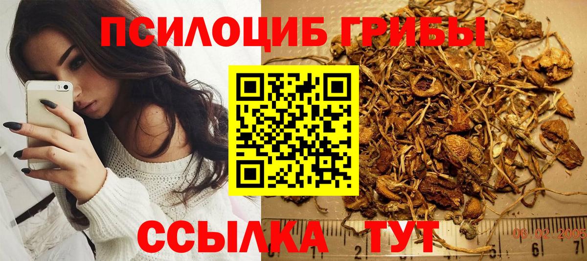 Псилоцибиновые грибы мицелий  дарнет шоп  Тобольск  Псилоцибиновые грибы GOLDEN TEACHER  Вход с VPN 