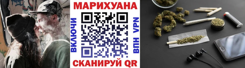 Конопля гибрид  Тобольск 